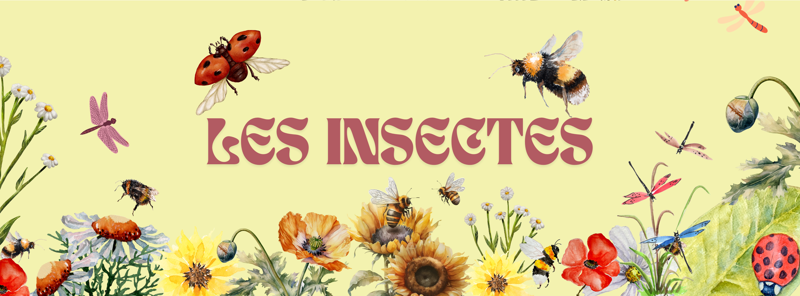 Les insectes