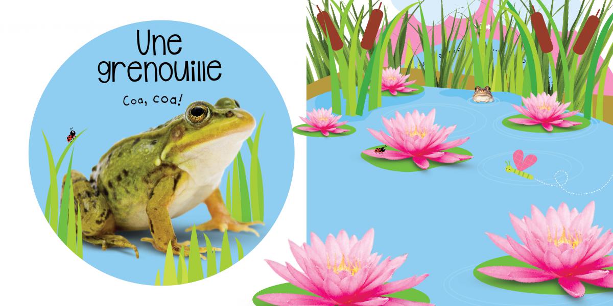Apprendre avec Scholastic : Tourne et regarde : Je grandis