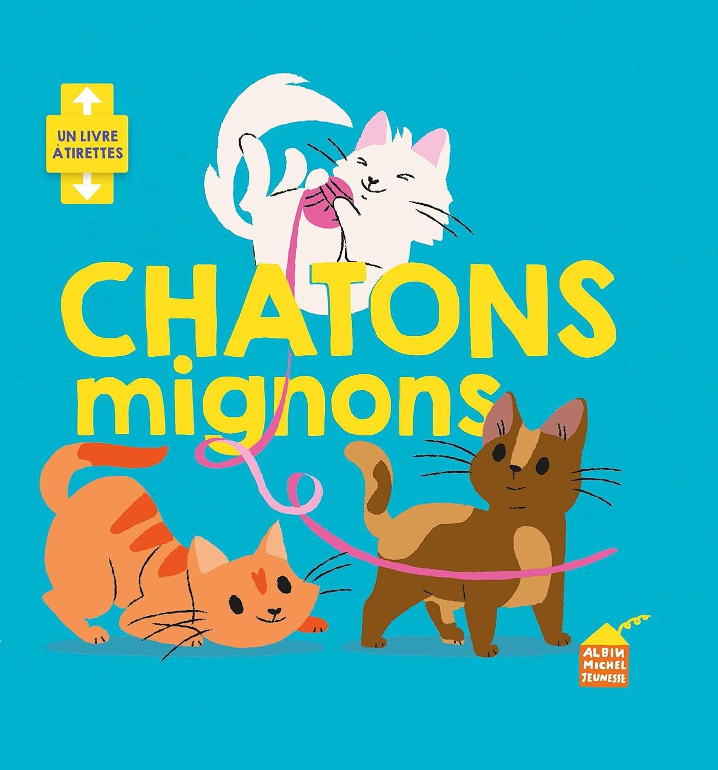 Anne Crahay, Harriet Stone: Livre à tirettes. Chatons mignons