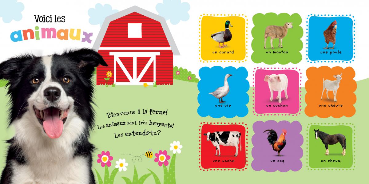 Apprendre avec Scholastic : Touche, soulève et montre : À la ferme