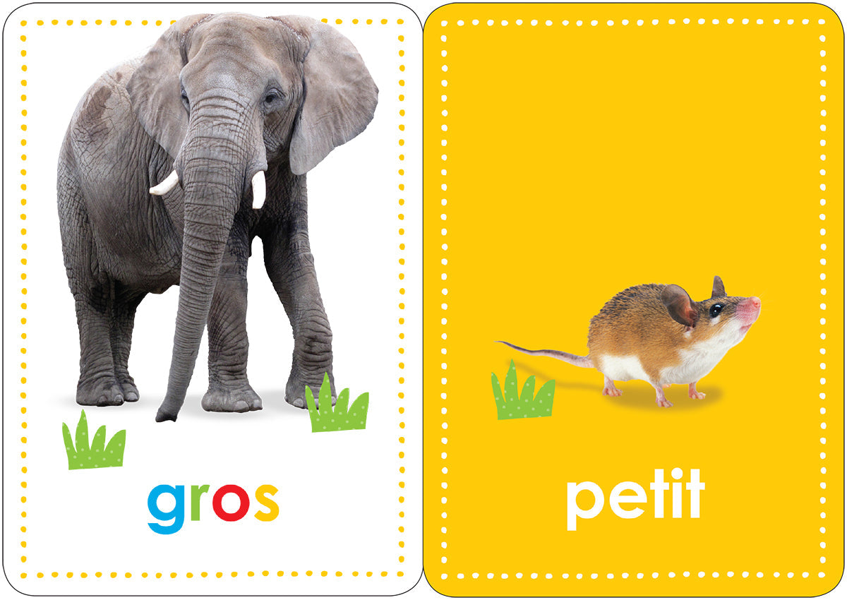Apprendre avec Scholastic : Cartes éclair : Mes 50 premiers mots