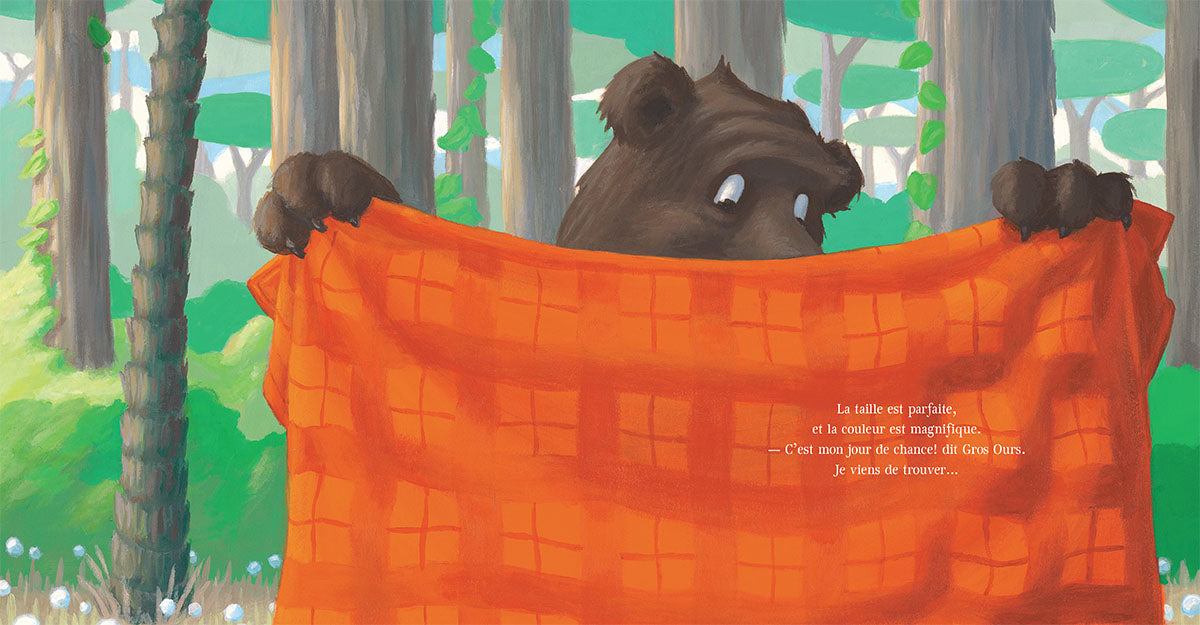 Nick Bland: Gros Ours superhéros (Tout carton)