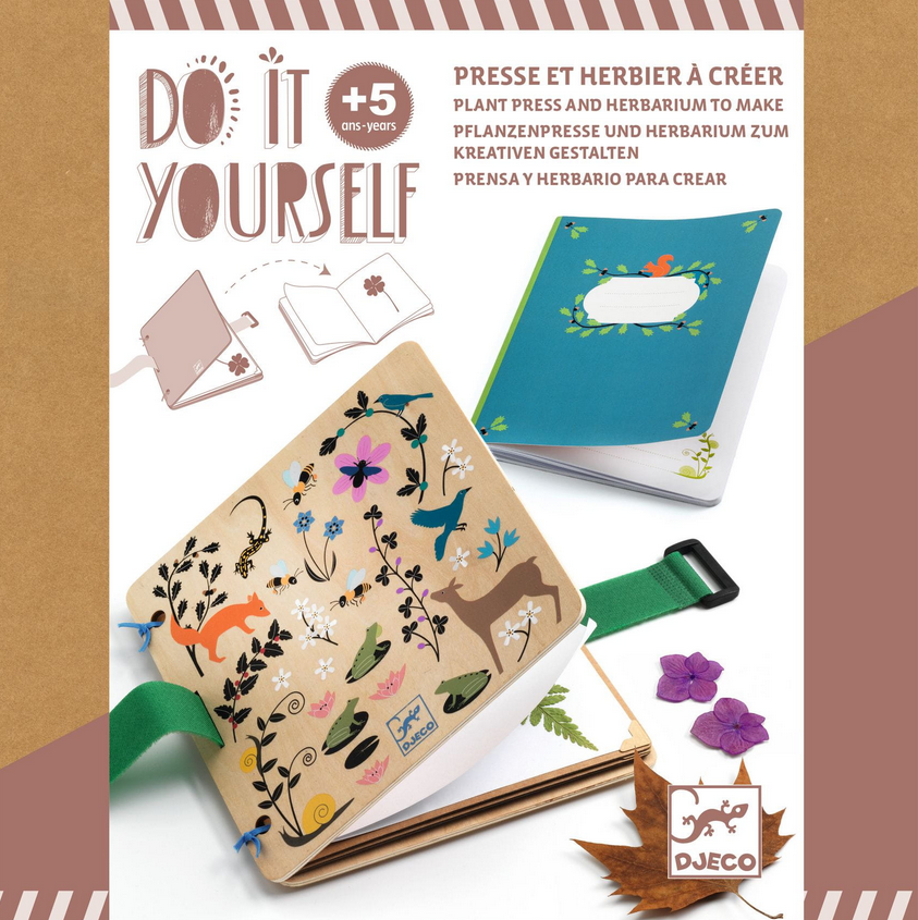 DIY / Petit botaniste : presse et herbier