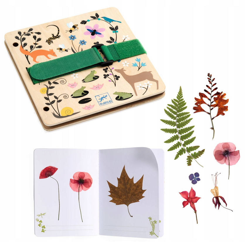 DIY / Petit botaniste : presse et herbier