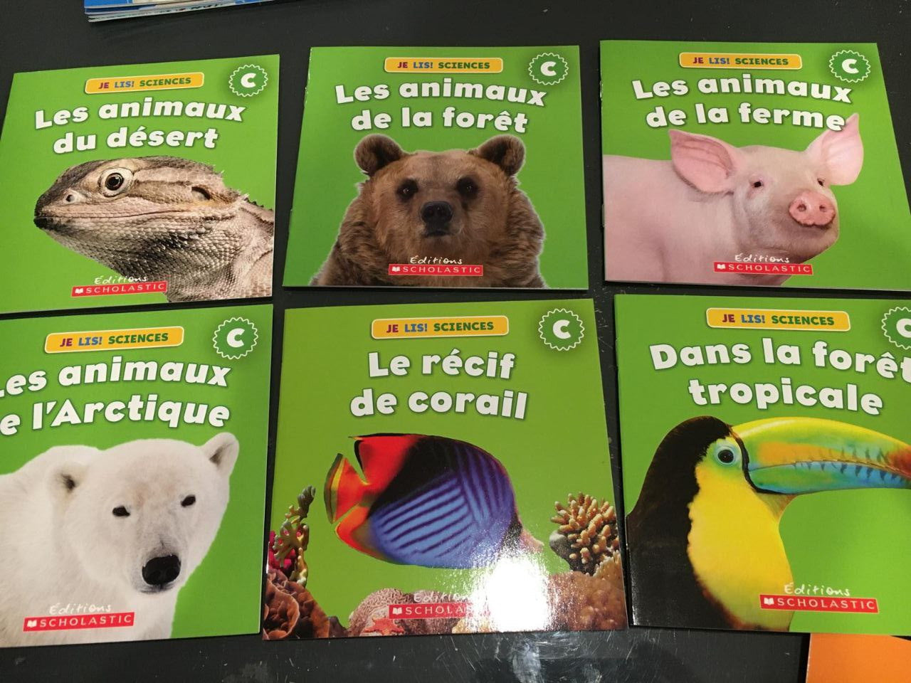 Je Lis! Sciences: Animaux 1. 24 livres