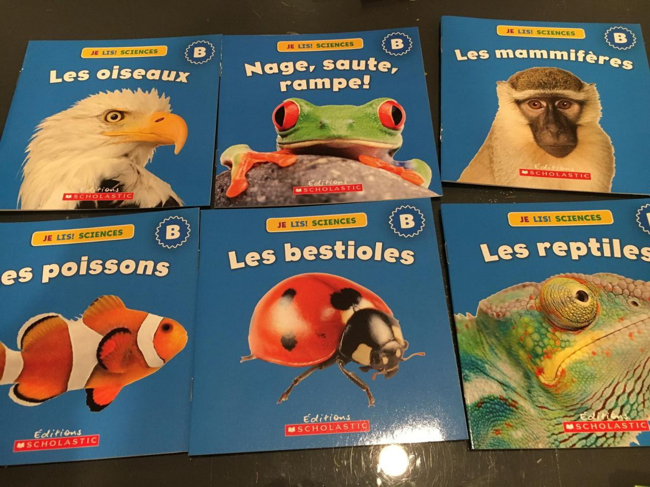 Je Lis! Sciences: Animaux 1. 24 livres