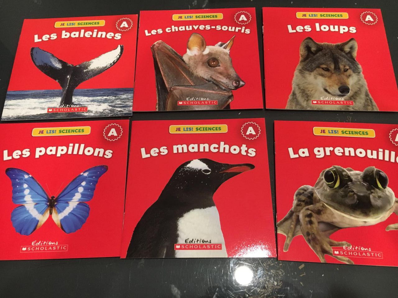 Je Lis! Sciences: Animaux 1. 24 livres